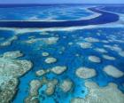 Большой Барьерный риф, коралловые рифы во всем мире крупнейшим. Австралия.